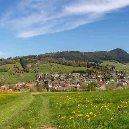 Haus Irmgard Διαμέρισμα Zell am Harmersbach